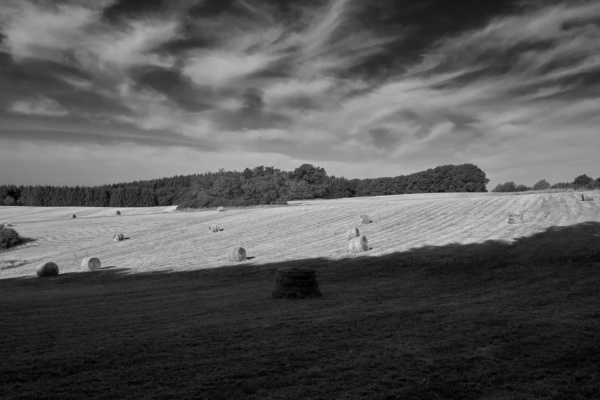 Piesport in Black & White