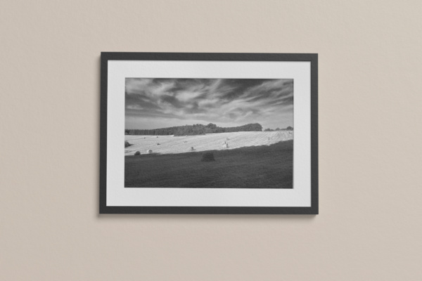 Piesport in Black & White – Bild 2