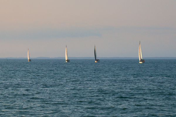 Bogense - Segelboote