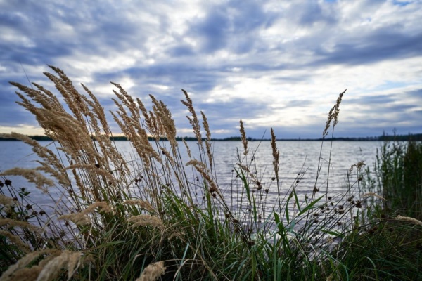 Abendstimmung Markkleeberger See