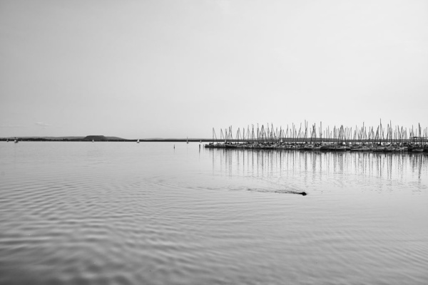 Steinhuder Meer